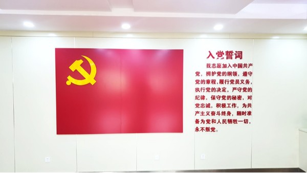 <i style='color:red'>石家庄室内党建文化展示墙</i>